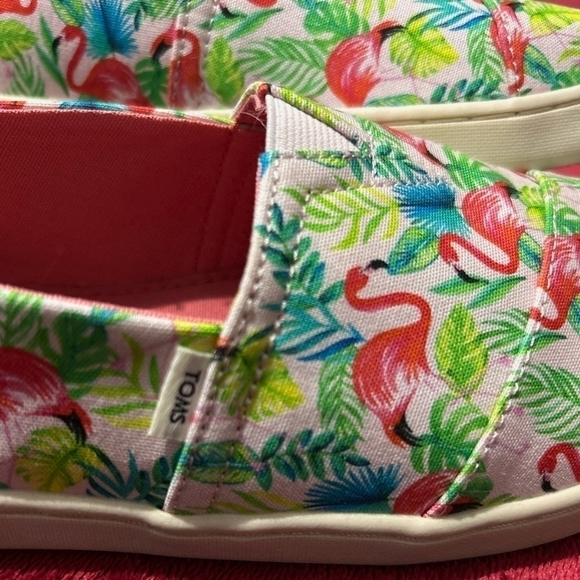 LIMITED Edition Pink Flamingo Toms Y5 - Picture 2 of 7